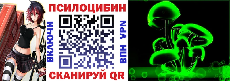 Псилоцибиновые грибы MAGIC MUSHROOMS  наркота  Черноголовка 